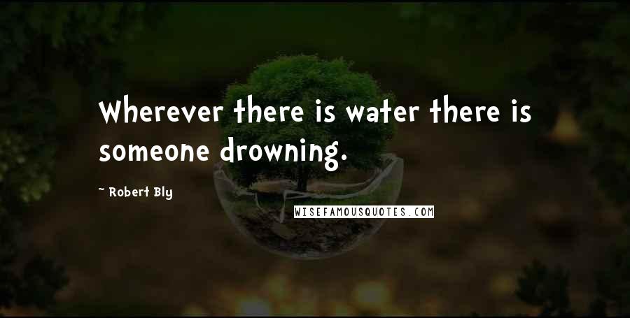 Robert Bly Quotes: Wherever there is water there is someone drowning.