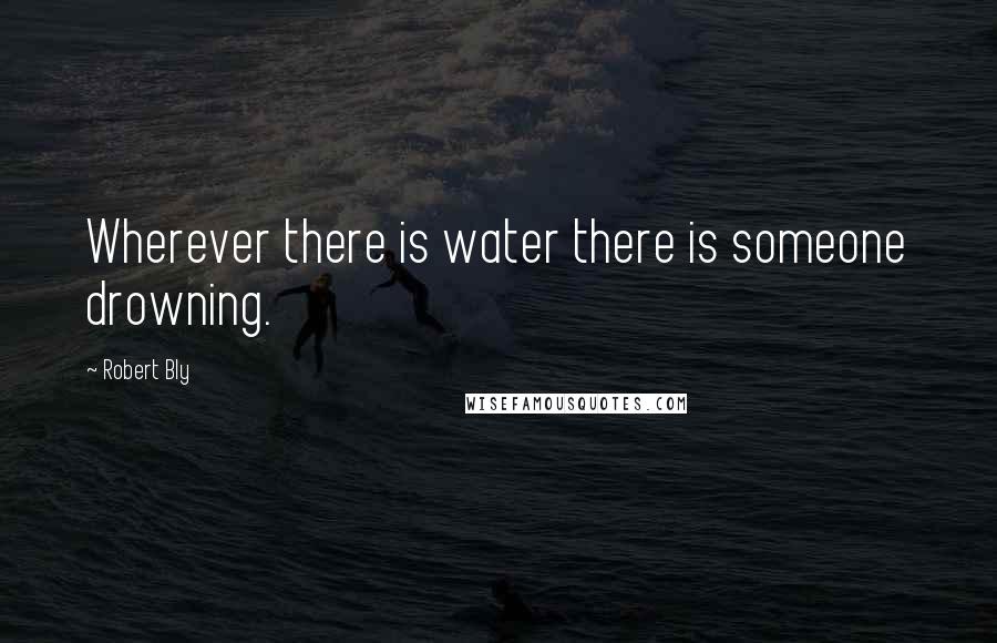 Robert Bly Quotes: Wherever there is water there is someone drowning.