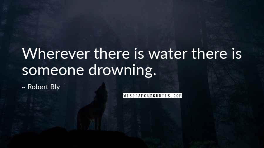 Robert Bly Quotes: Wherever there is water there is someone drowning.