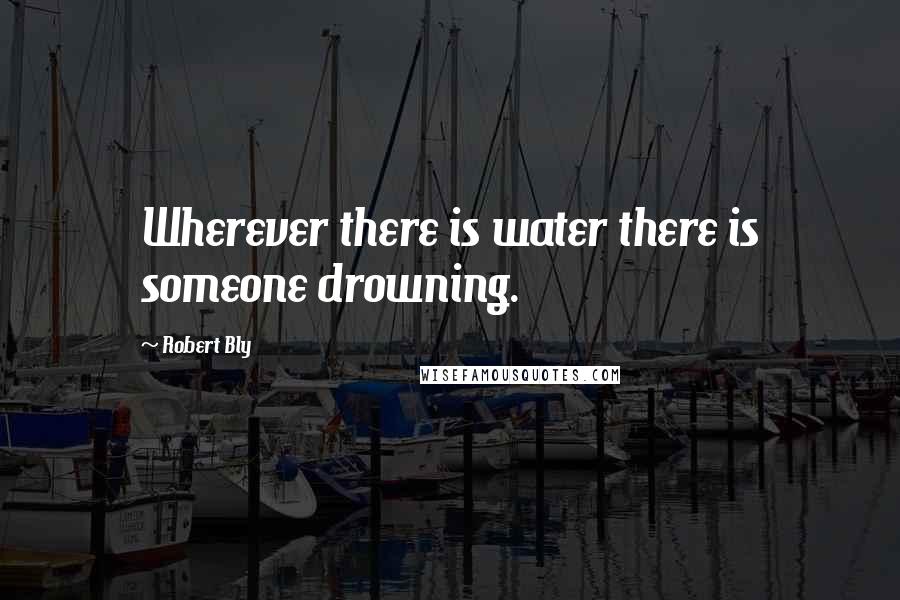 Robert Bly Quotes: Wherever there is water there is someone drowning.