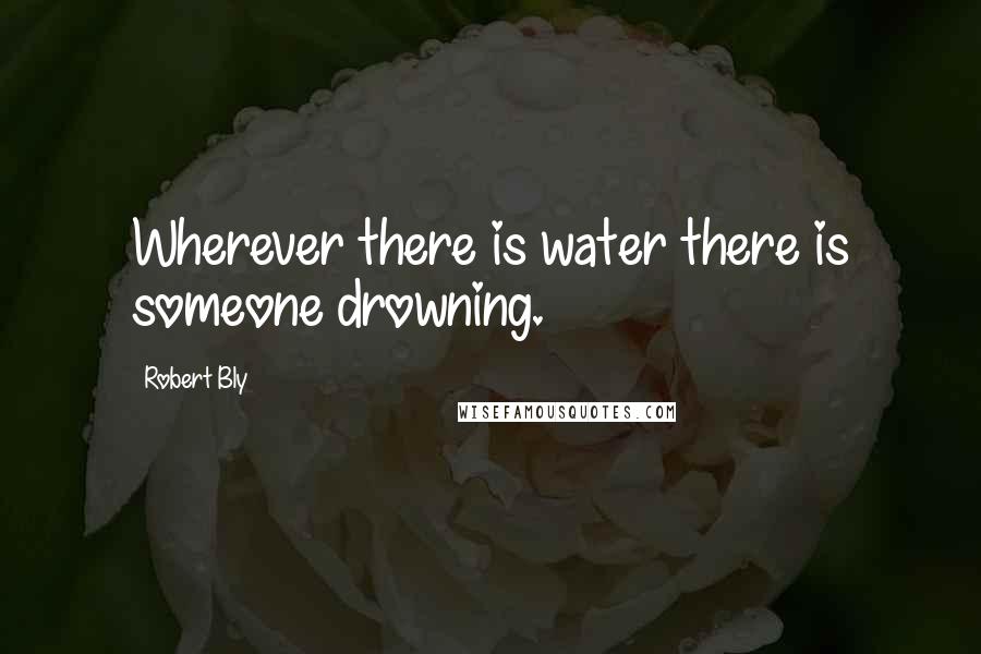 Robert Bly Quotes: Wherever there is water there is someone drowning.