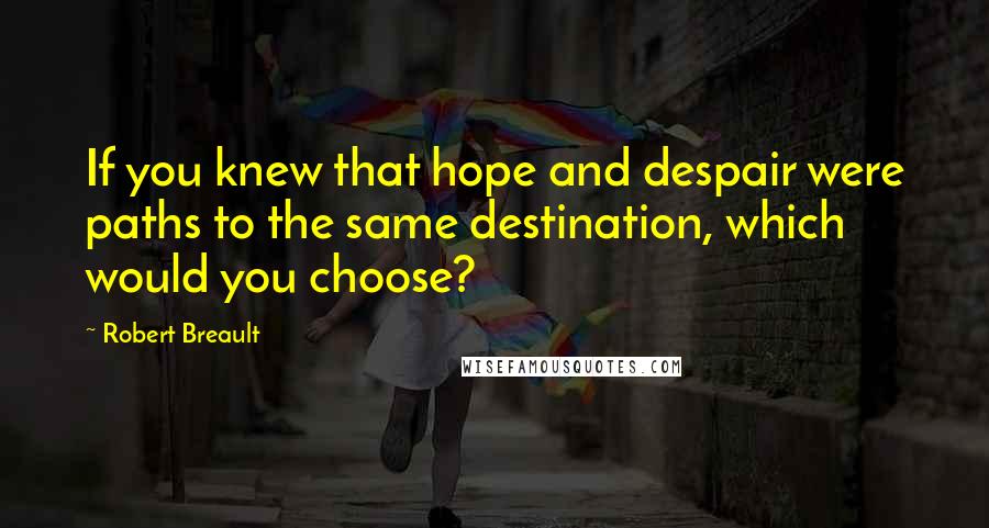 Robert Breault Quotes: If you knew that hope and despair were paths to the same destination, which would you choose?