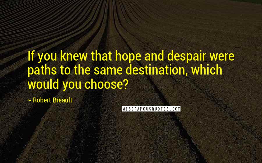 Robert Breault Quotes: If you knew that hope and despair were paths to the same destination, which would you choose?