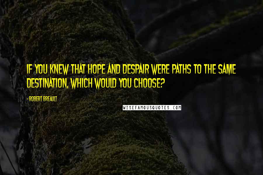 Robert Breault Quotes: If you knew that hope and despair were paths to the same destination, which would you choose?