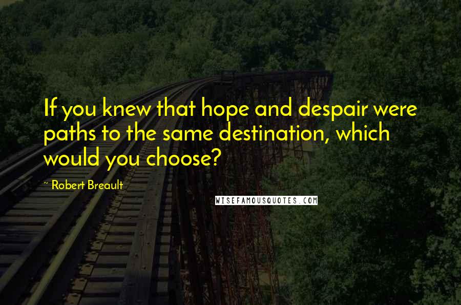 Robert Breault Quotes: If you knew that hope and despair were paths to the same destination, which would you choose?