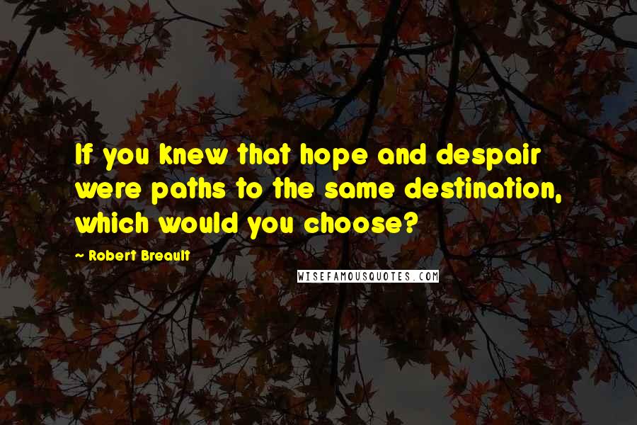 Robert Breault Quotes: If you knew that hope and despair were paths to the same destination, which would you choose?