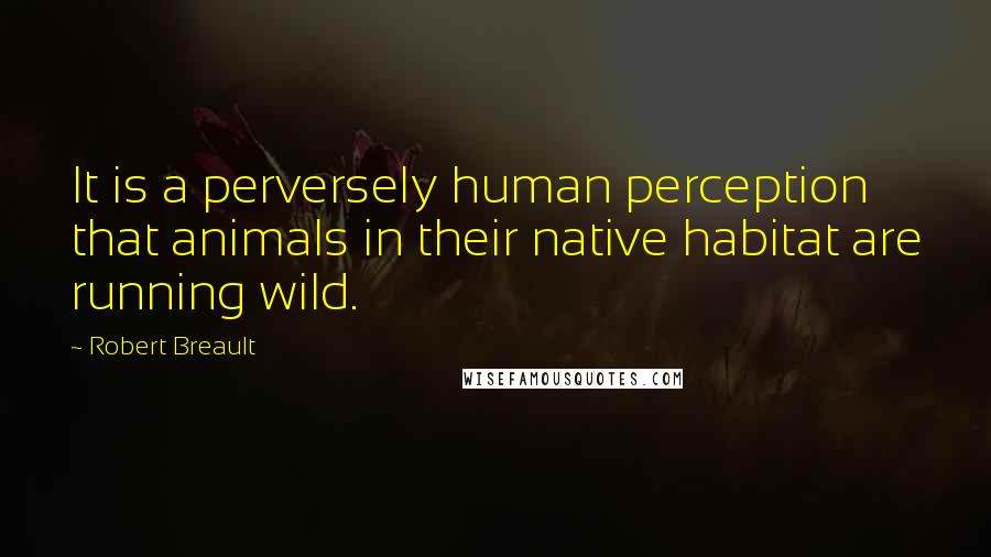 Robert Breault Quotes: It is a perversely human perception that animals in their native habitat are running wild.