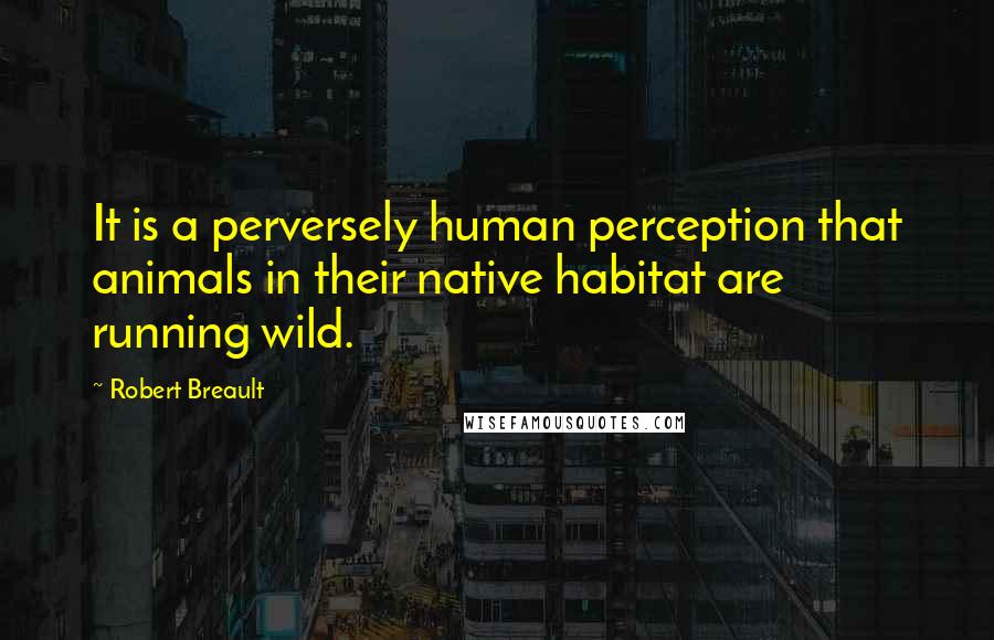 Robert Breault Quotes: It is a perversely human perception that animals in their native habitat are running wild.