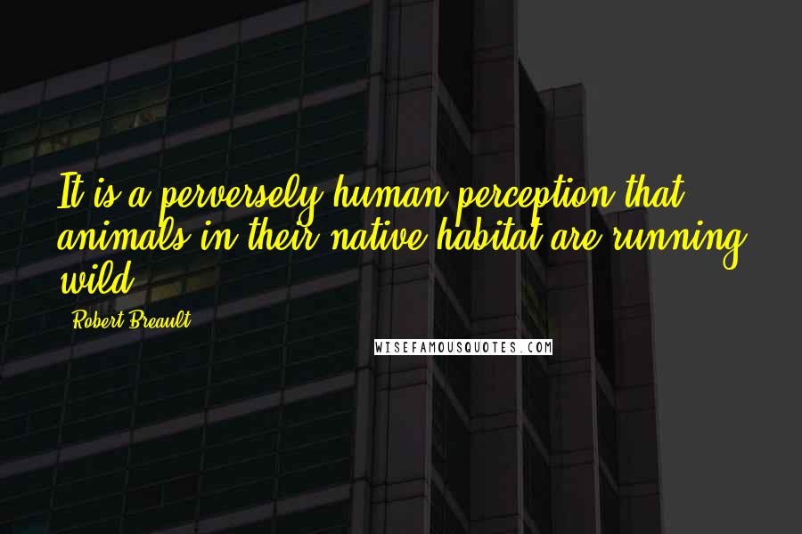 Robert Breault Quotes: It is a perversely human perception that animals in their native habitat are running wild.