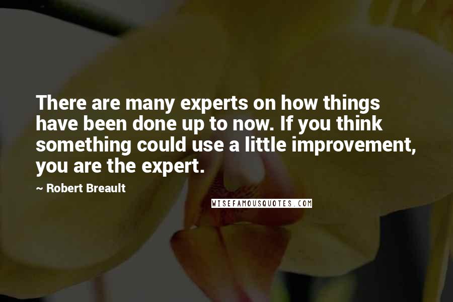 Robert Breault Quotes: There are many experts on how things have been done up to now. If you think something could use a little improvement, you are the expert.