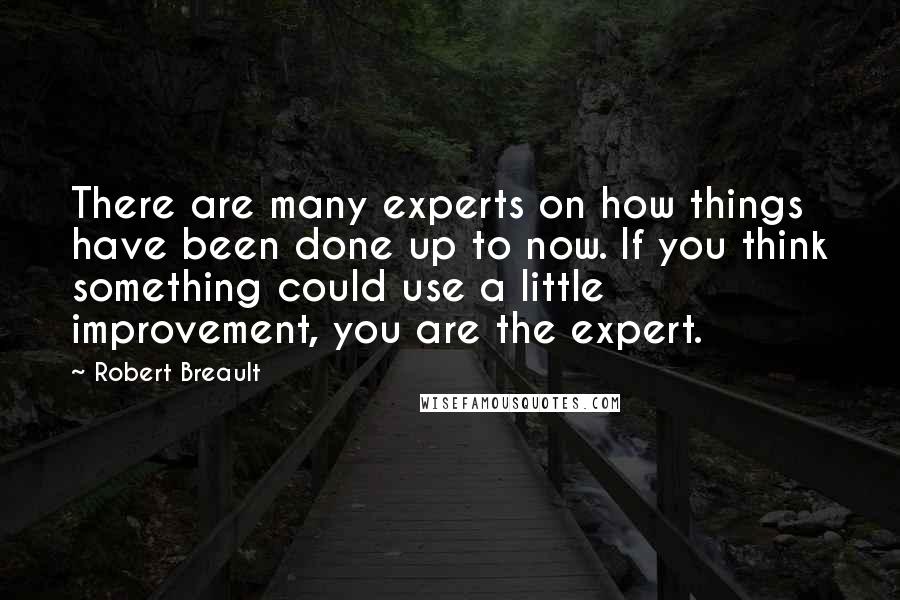 Robert Breault Quotes: There are many experts on how things have been done up to now. If you think something could use a little improvement, you are the expert.