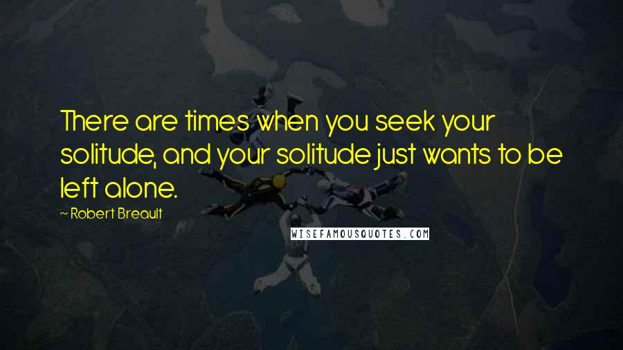 Robert Breault Quotes: There are times when you seek your solitude, and your solitude just wants to be left alone.