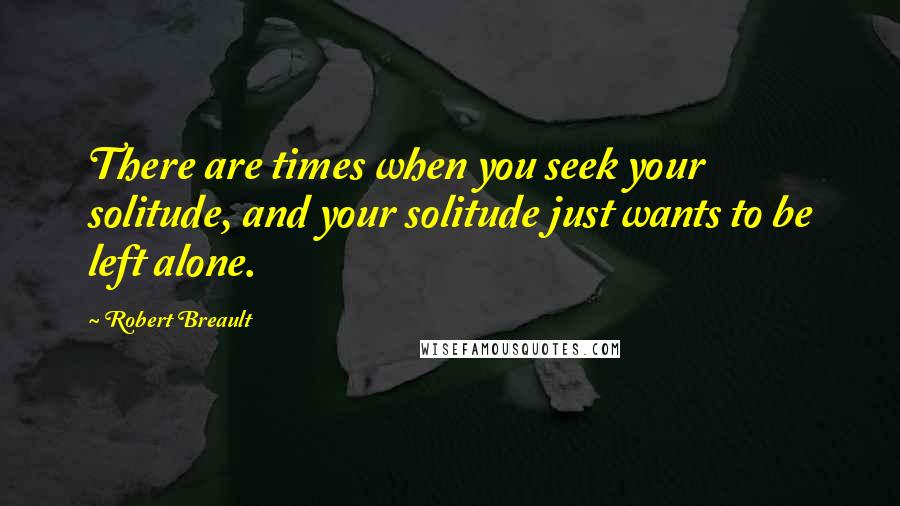 Robert Breault Quotes: There are times when you seek your solitude, and your solitude just wants to be left alone.