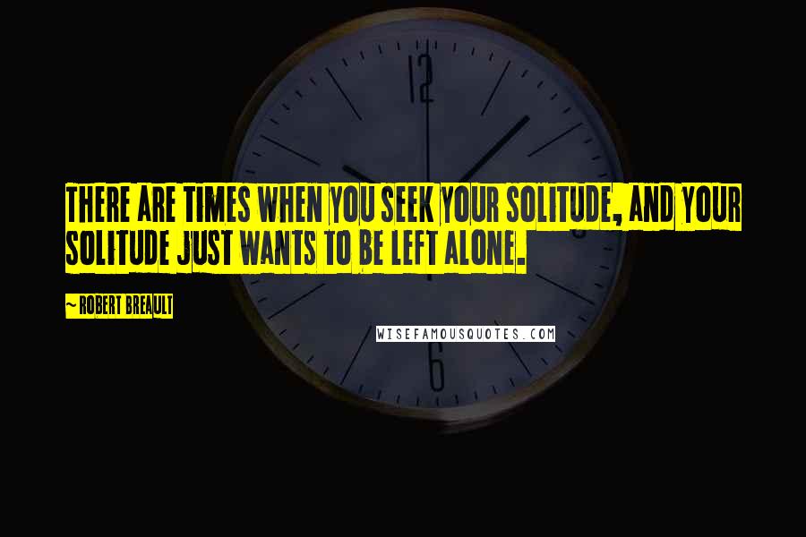 Robert Breault Quotes: There are times when you seek your solitude, and your solitude just wants to be left alone.