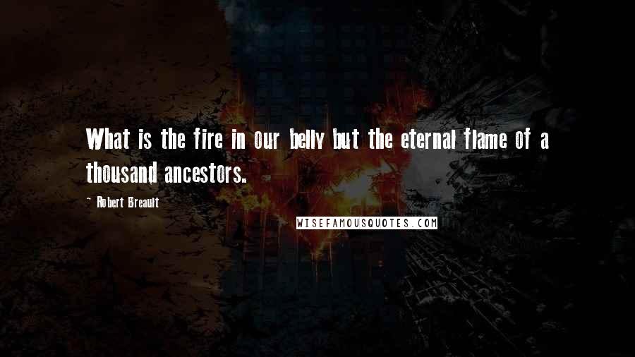 Robert Breault Quotes: What is the fire in our belly but the eternal flame of a thousand ancestors.