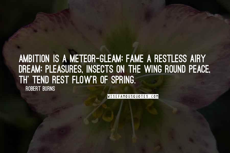 Robert Burns Quotes: Ambition is a meteor-gleam; Fame a restless airy dream; Pleasures, insects on the wing Round Peace, th' tend rest flow'r of spring.