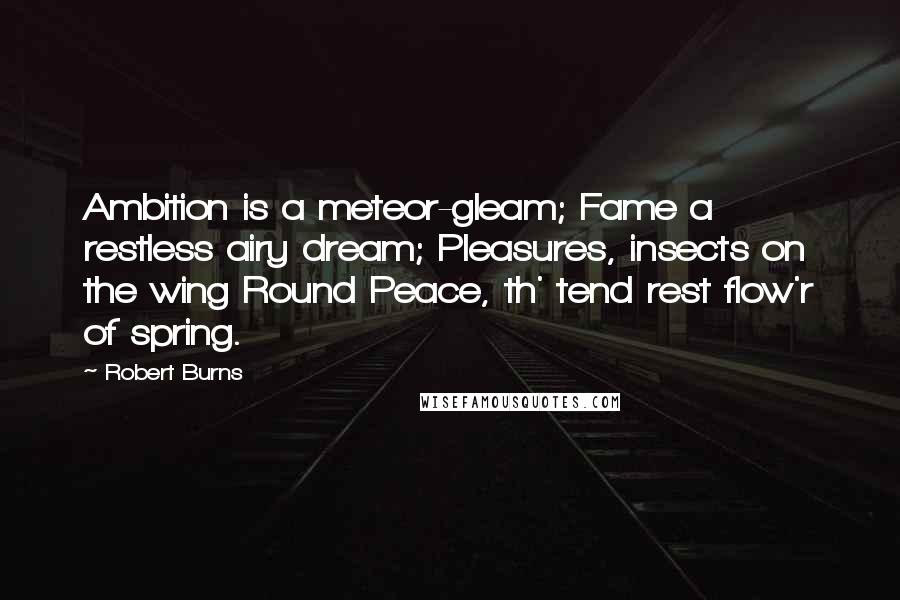 Robert Burns Quotes: Ambition is a meteor-gleam; Fame a restless airy dream; Pleasures, insects on the wing Round Peace, th' tend rest flow'r of spring.