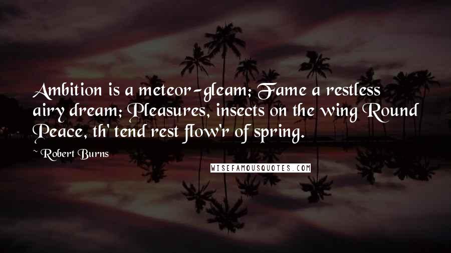 Robert Burns Quotes: Ambition is a meteor-gleam; Fame a restless airy dream; Pleasures, insects on the wing Round Peace, th' tend rest flow'r of spring.