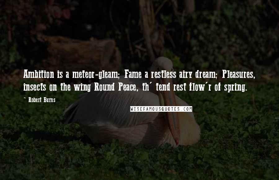 Robert Burns Quotes: Ambition is a meteor-gleam; Fame a restless airy dream; Pleasures, insects on the wing Round Peace, th' tend rest flow'r of spring.