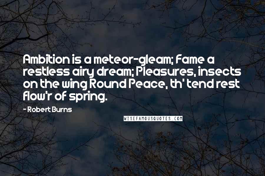 Robert Burns Quotes: Ambition is a meteor-gleam; Fame a restless airy dream; Pleasures, insects on the wing Round Peace, th' tend rest flow'r of spring.