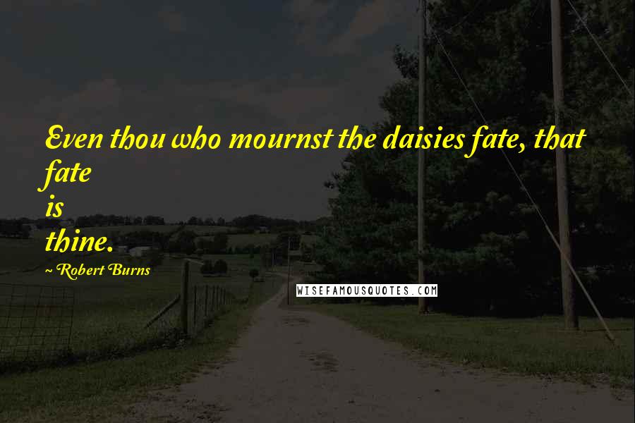 Robert Burns Quotes: Even thou who mournst the daisies fate, that fate is thine.