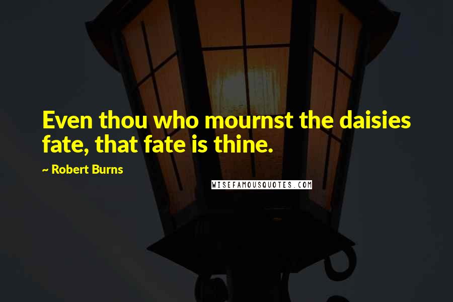 Robert Burns Quotes: Even thou who mournst the daisies fate, that fate is thine.