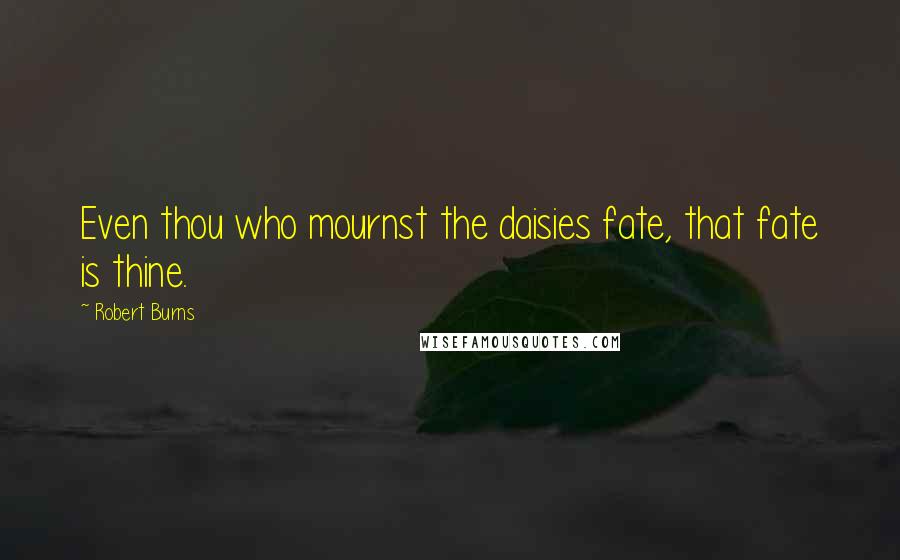 Robert Burns Quotes: Even thou who mournst the daisies fate, that fate is thine.