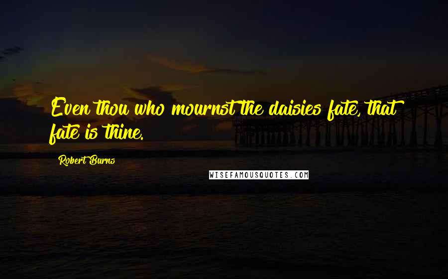 Robert Burns Quotes: Even thou who mournst the daisies fate, that fate is thine.