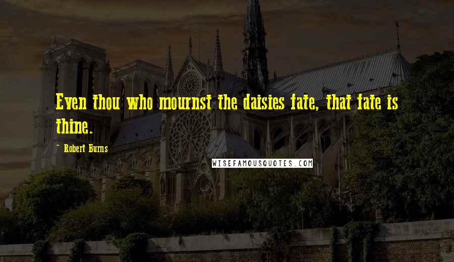 Robert Burns Quotes: Even thou who mournst the daisies fate, that fate is thine.