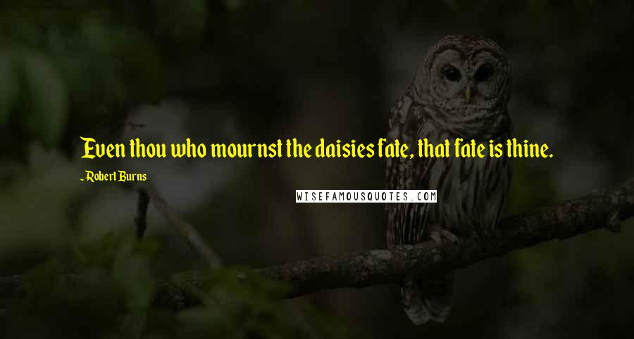 Robert Burns Quotes: Even thou who mournst the daisies fate, that fate is thine.