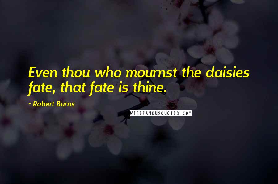 Robert Burns Quotes: Even thou who mournst the daisies fate, that fate is thine.