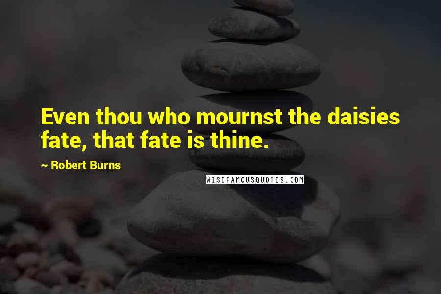 Robert Burns Quotes: Even thou who mournst the daisies fate, that fate is thine.