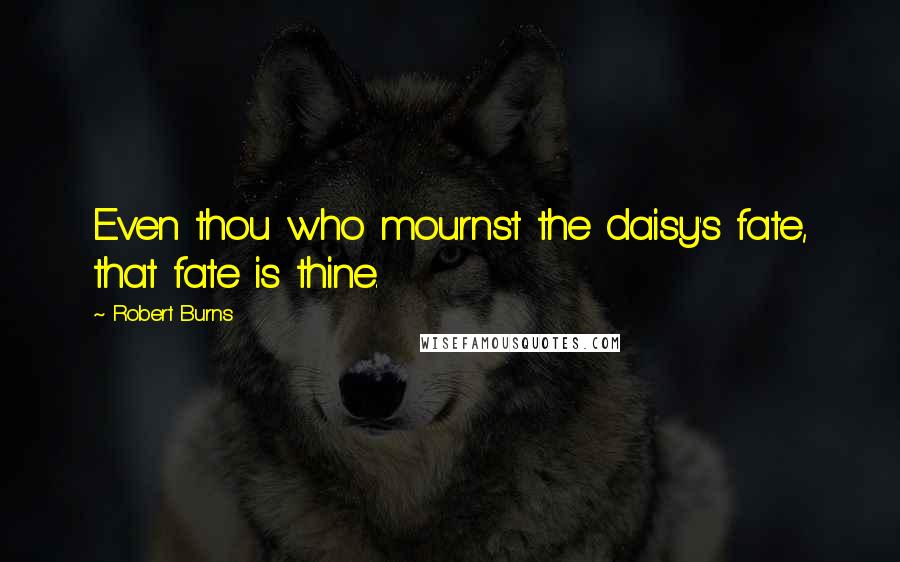 Robert Burns Quotes: Even thou who mournst the daisy's fate, that fate is thine.