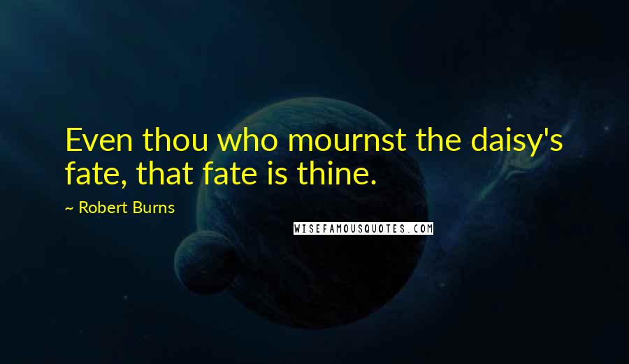 Robert Burns Quotes: Even thou who mournst the daisy's fate, that fate is thine.