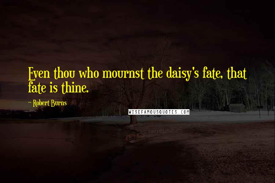Robert Burns Quotes: Even thou who mournst the daisy's fate, that fate is thine.