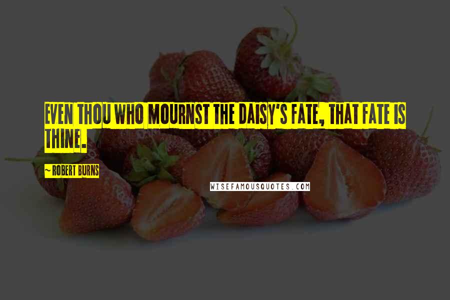 Robert Burns Quotes: Even thou who mournst the daisy's fate, that fate is thine.