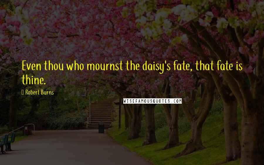 Robert Burns Quotes: Even thou who mournst the daisy's fate, that fate is thine.