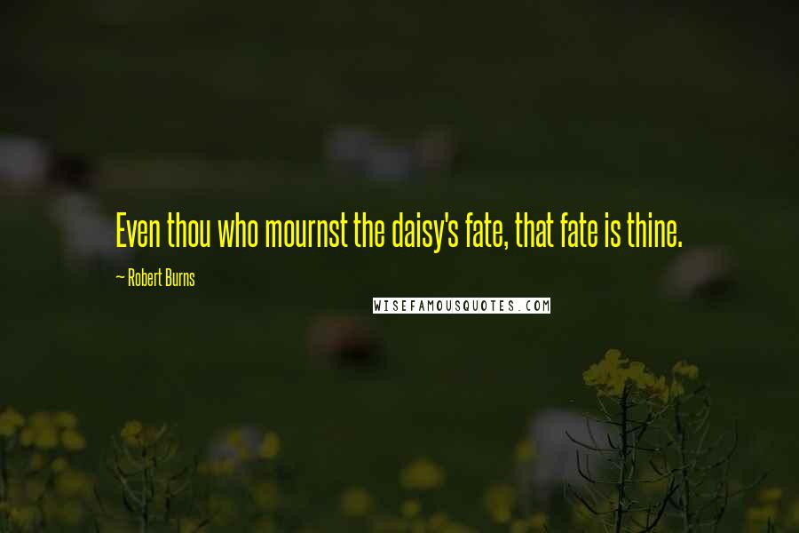 Robert Burns Quotes: Even thou who mournst the daisy's fate, that fate is thine.