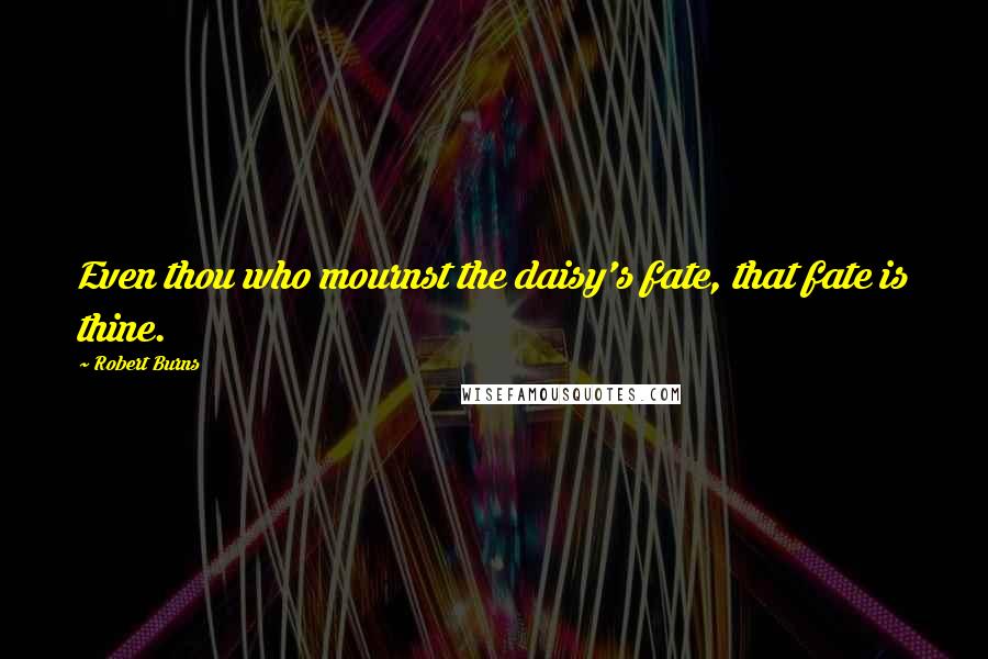 Robert Burns Quotes: Even thou who mournst the daisy's fate, that fate is thine.