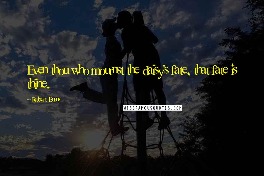 Robert Burns Quotes: Even thou who mournst the daisy's fate, that fate is thine.