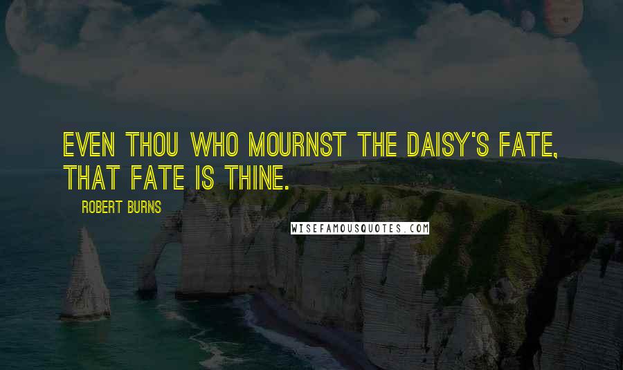 Robert Burns Quotes: Even thou who mournst the daisy's fate, that fate is thine.
