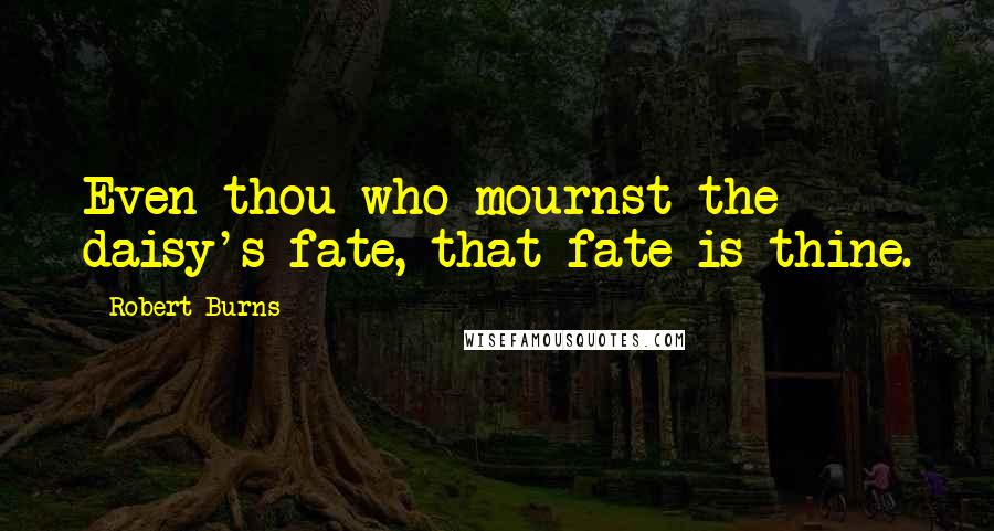 Robert Burns Quotes: Even thou who mournst the daisy's fate, that fate is thine.