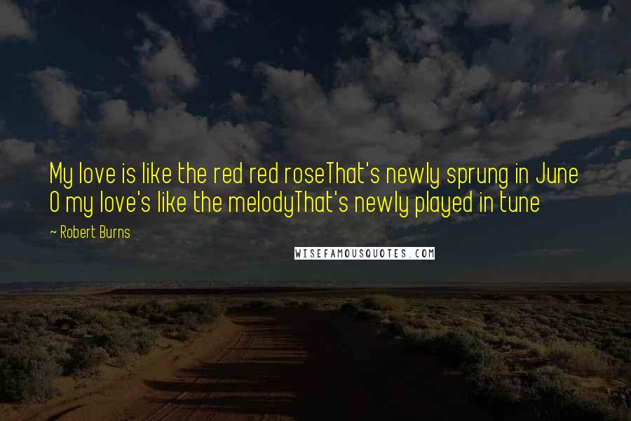 Robert Burns Quotes: My love is like the red red roseThat's newly sprung in June O my love's like the melodyThat's newly played in tune