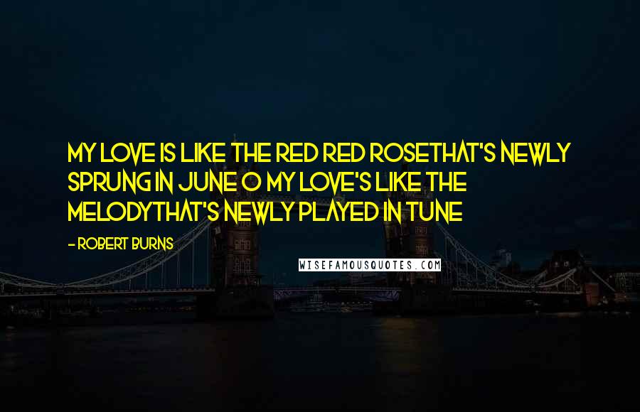 Robert Burns Quotes: My love is like the red red roseThat's newly sprung in June O my love's like the melodyThat's newly played in tune