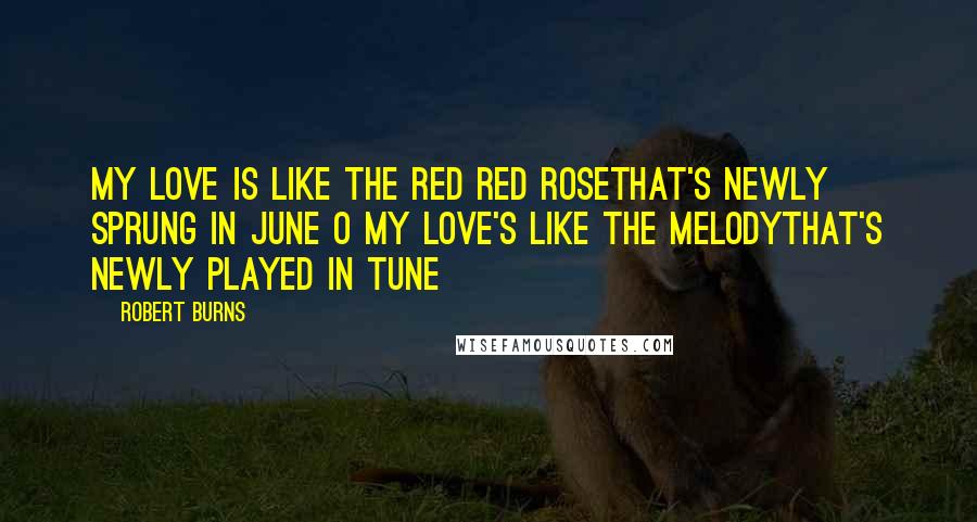 Robert Burns Quotes: My love is like the red red roseThat's newly sprung in June O my love's like the melodyThat's newly played in tune