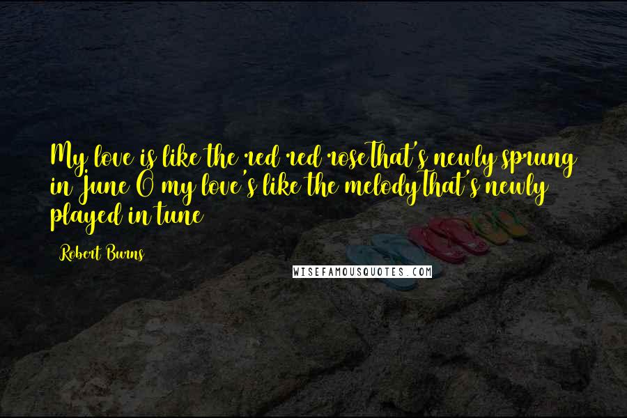 Robert Burns Quotes: My love is like the red red roseThat's newly sprung in June O my love's like the melodyThat's newly played in tune