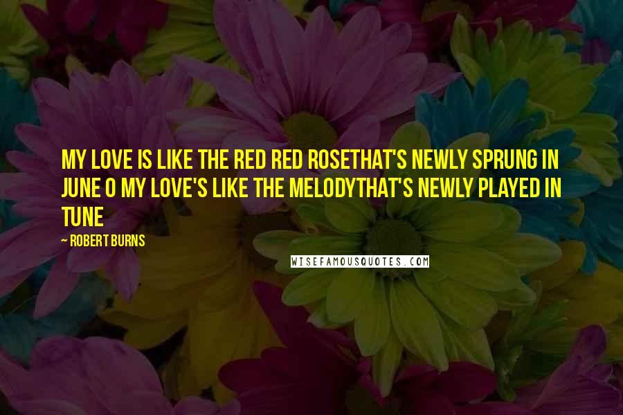 Robert Burns Quotes: My love is like the red red roseThat's newly sprung in June O my love's like the melodyThat's newly played in tune