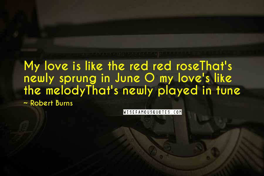 Robert Burns Quotes: My love is like the red red roseThat's newly sprung in June O my love's like the melodyThat's newly played in tune