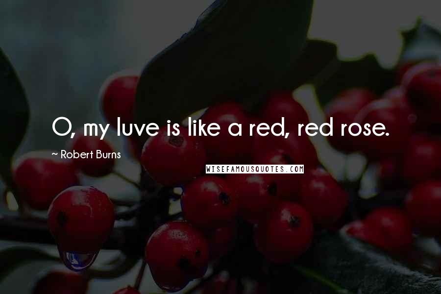 Robert Burns Quotes: O, my luve is like a red, red rose.