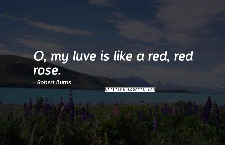 Robert Burns Quotes: O, my luve is like a red, red rose.